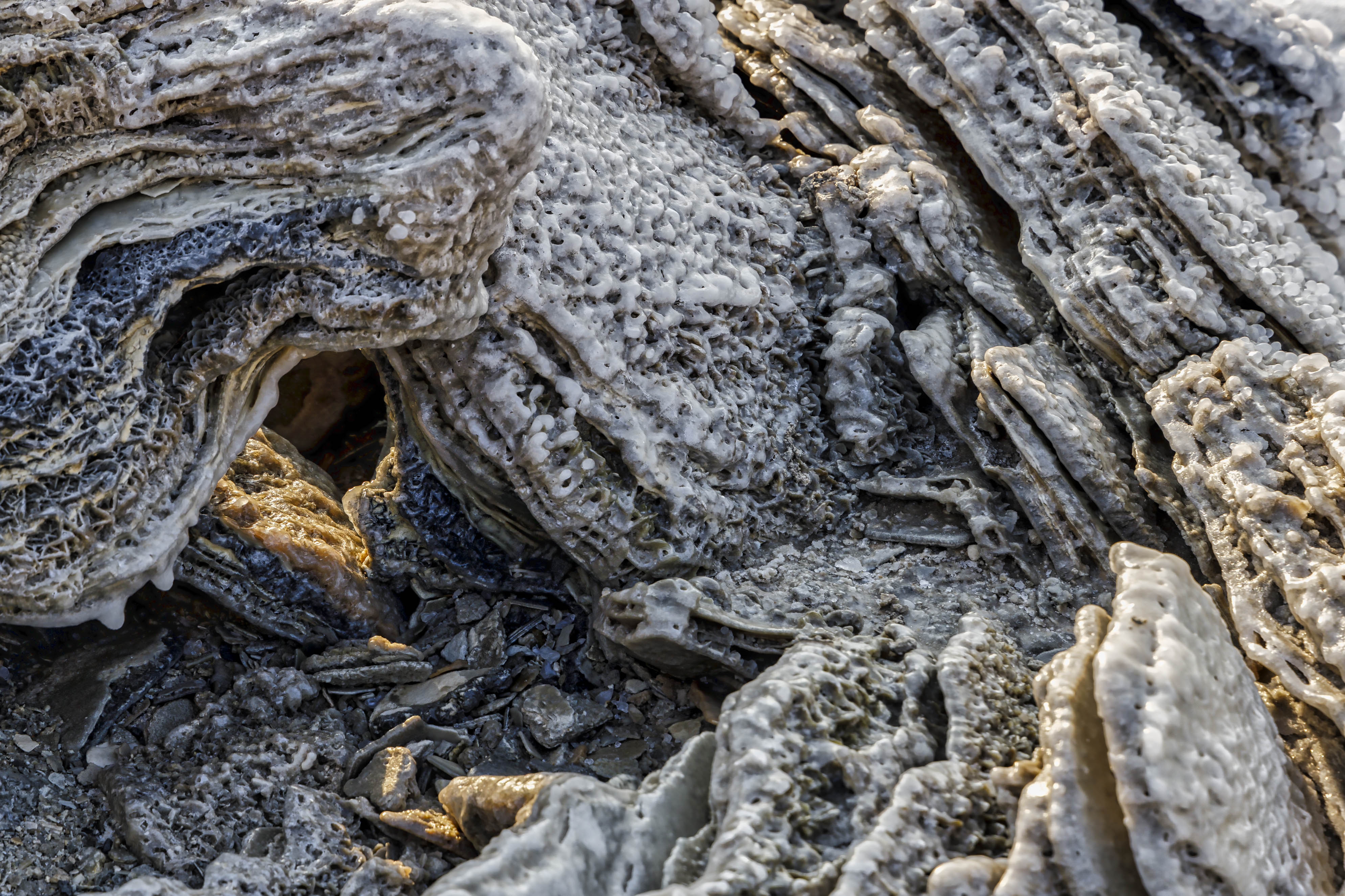 20201120-November 20, 2020-072911-072911-Edit.jpg